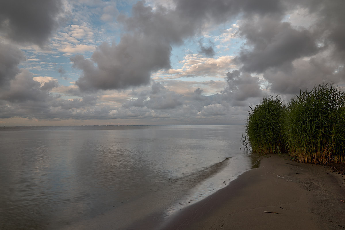 Куршская коса. Экскурсии по Калининграду