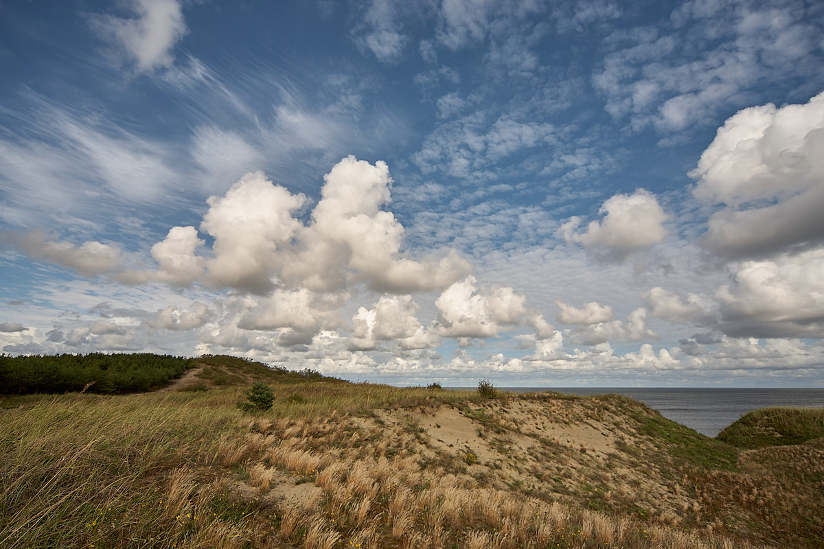 Куршская коса. Экскурсии по Калининграду