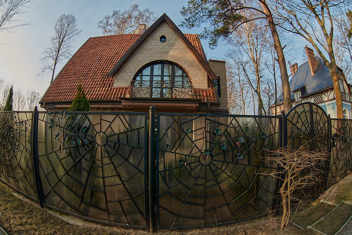 Светлогорск. Экскурсии по Калининграду