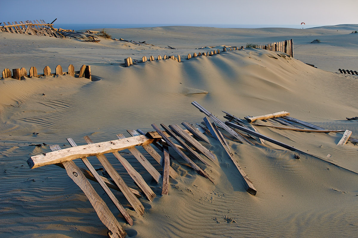 Куршская коса. Экскурсии по Калининграду