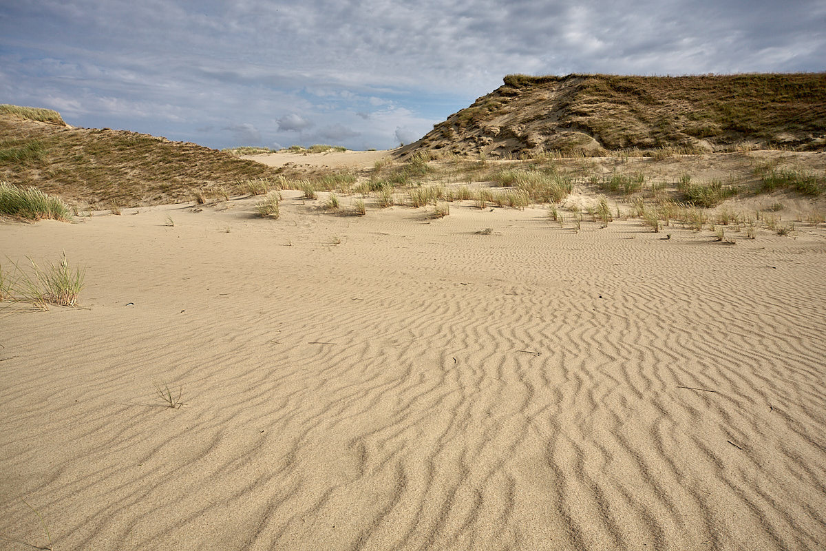 Куршская коса. Экскурсии по Калининграду
