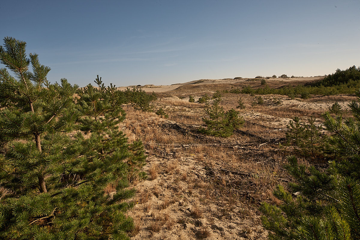 Куршская коса. Экскурсии по Калининграду