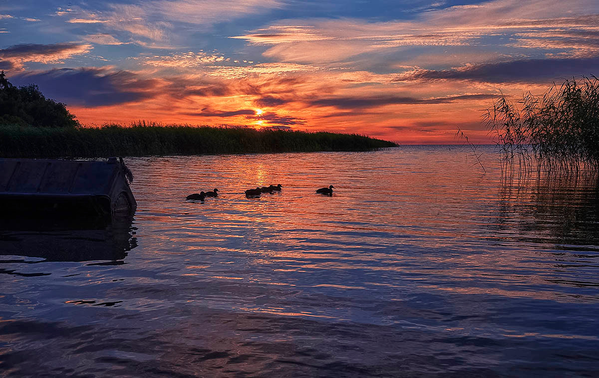Куршская коса. Экскурсии по Калининграду