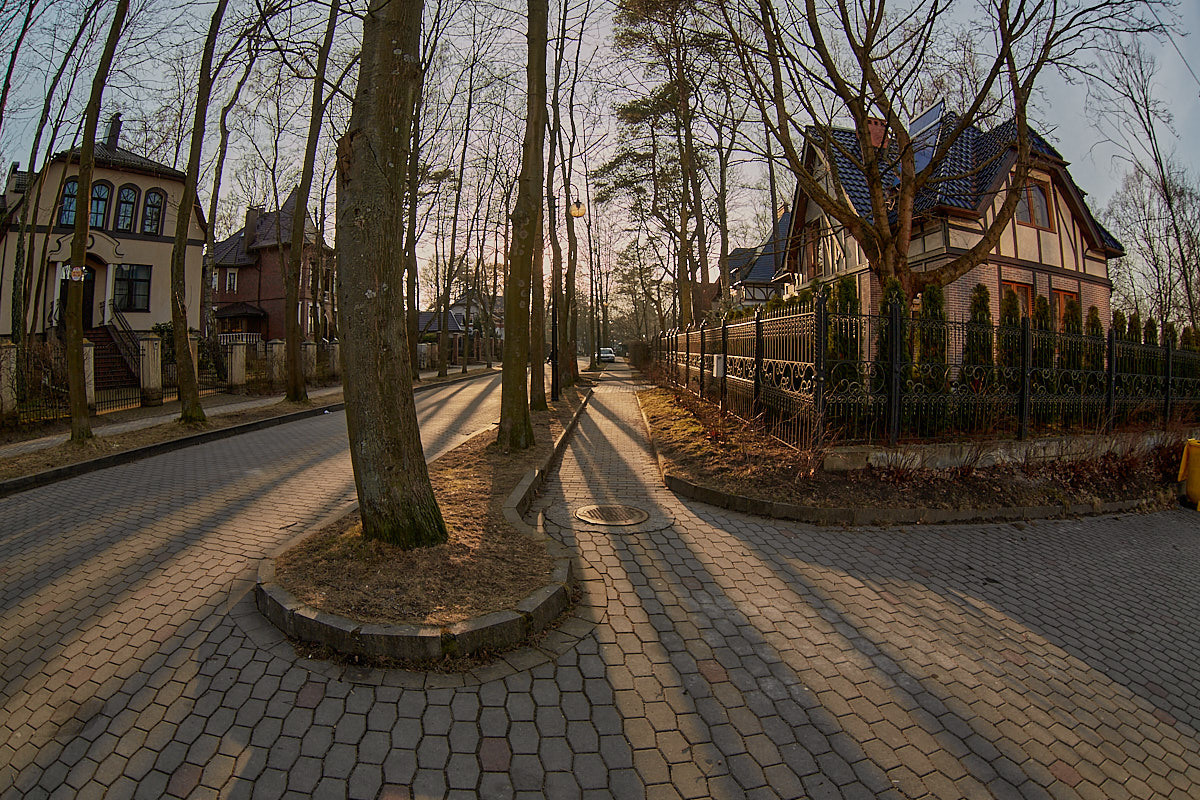 Светлогорск. Экскурсии по Калининграду