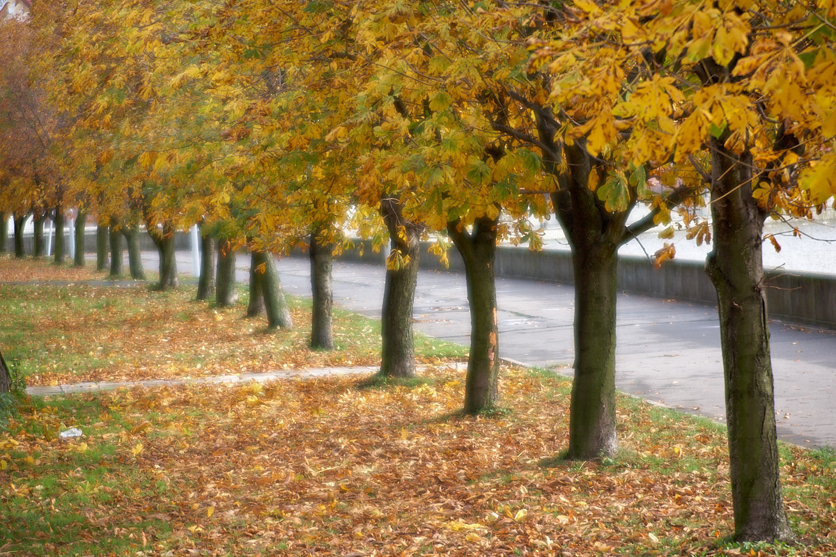 Калининград. Экскурсии по Калининграду