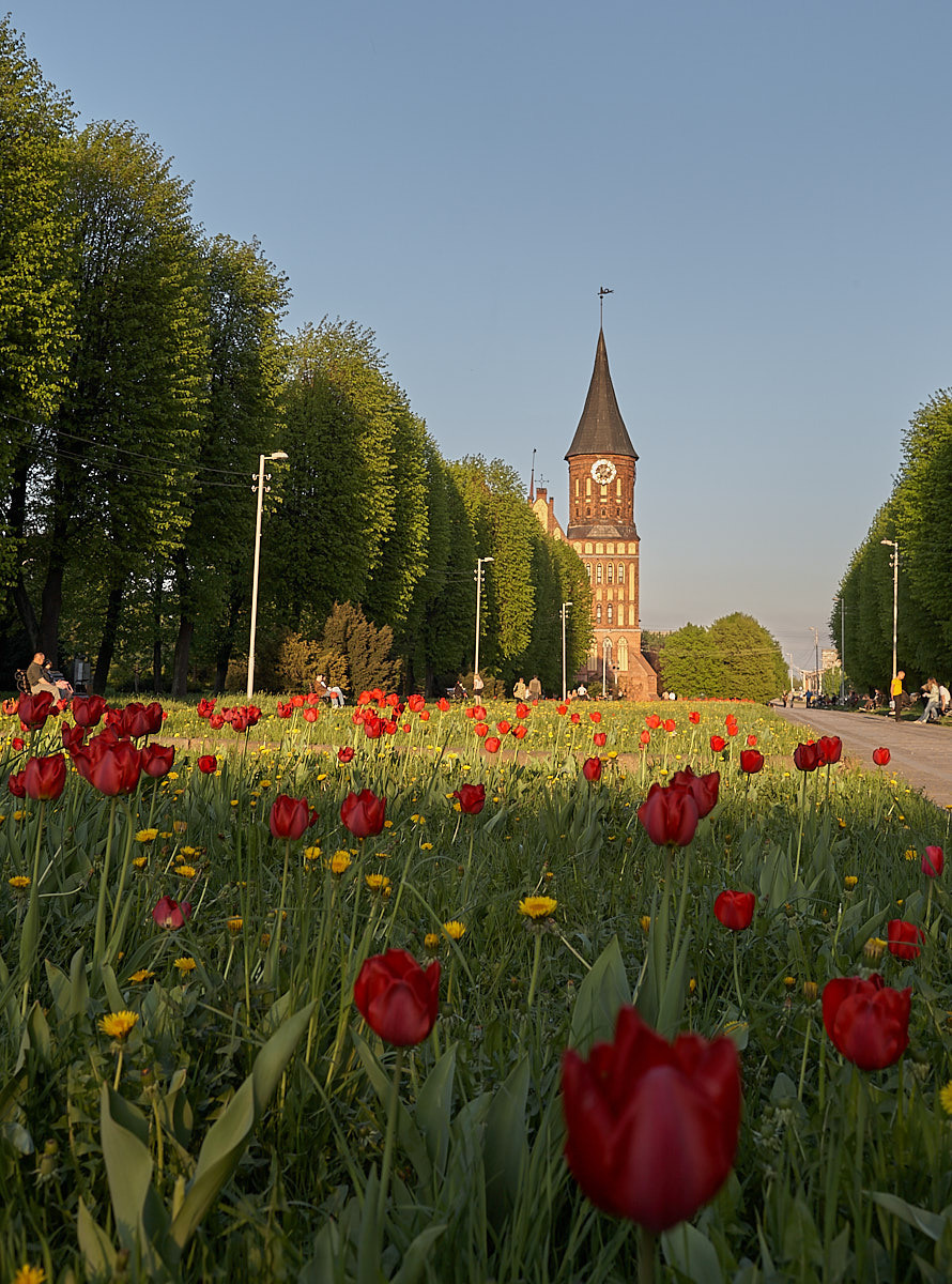 Калининград. Экскурсии по Калининграду