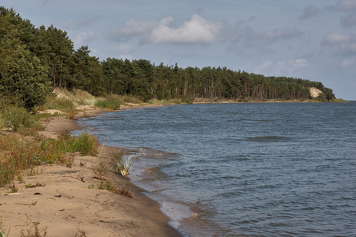 Куршская коса. Экскурсии по Калининграду