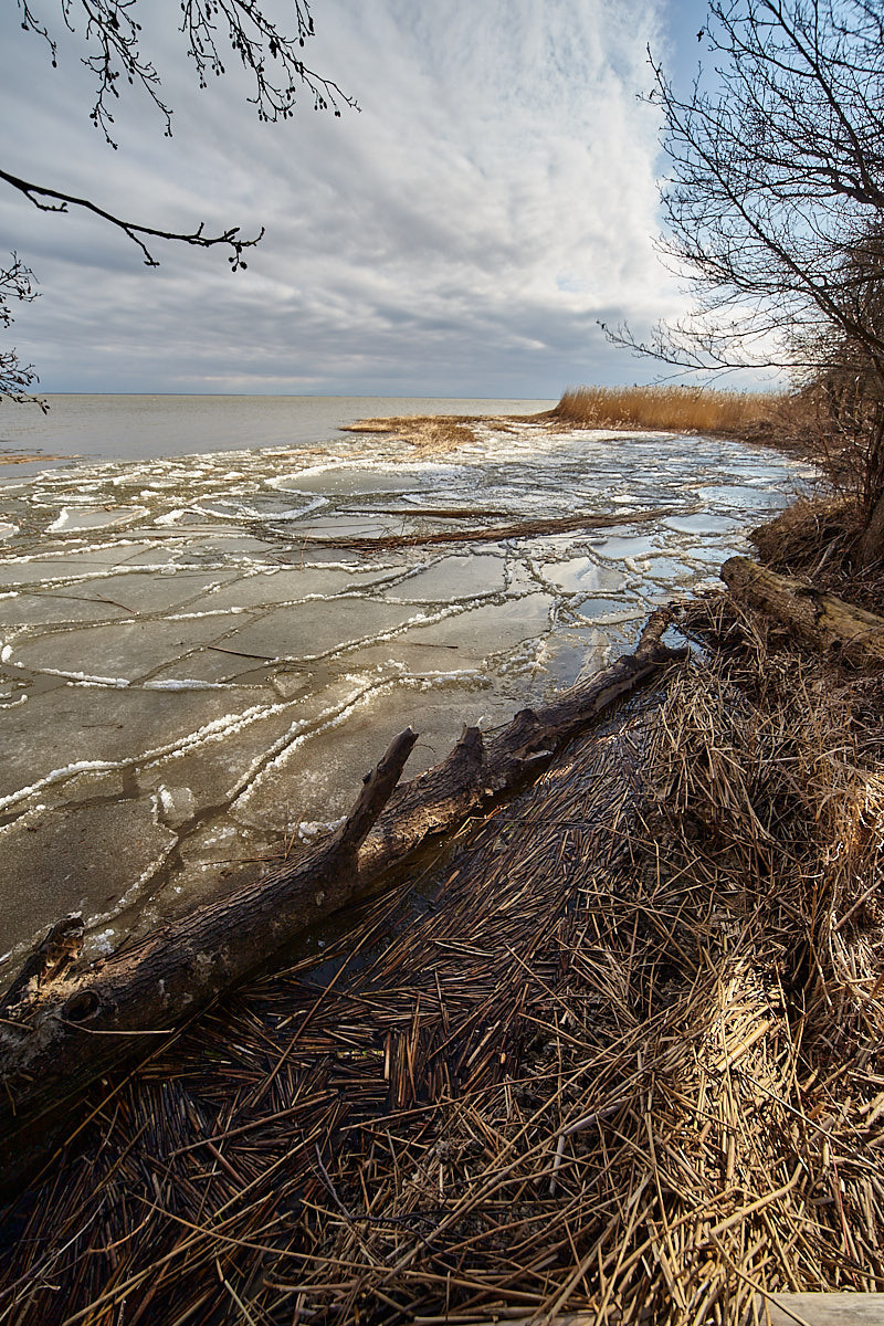 Куршская коса. Экскурсии по Калининграду