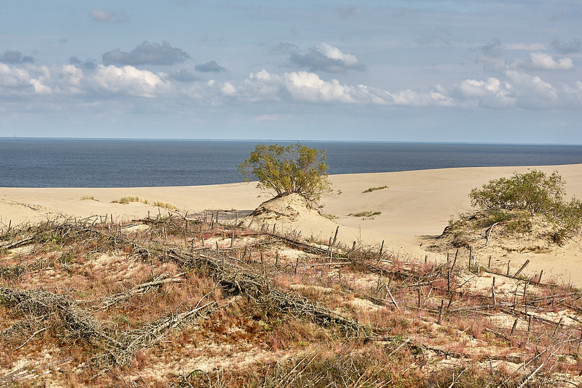 Куршская коса. Экскурсии по Калининграду