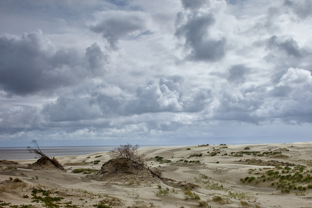 Куршская коса. Экскурсии по Калининграду