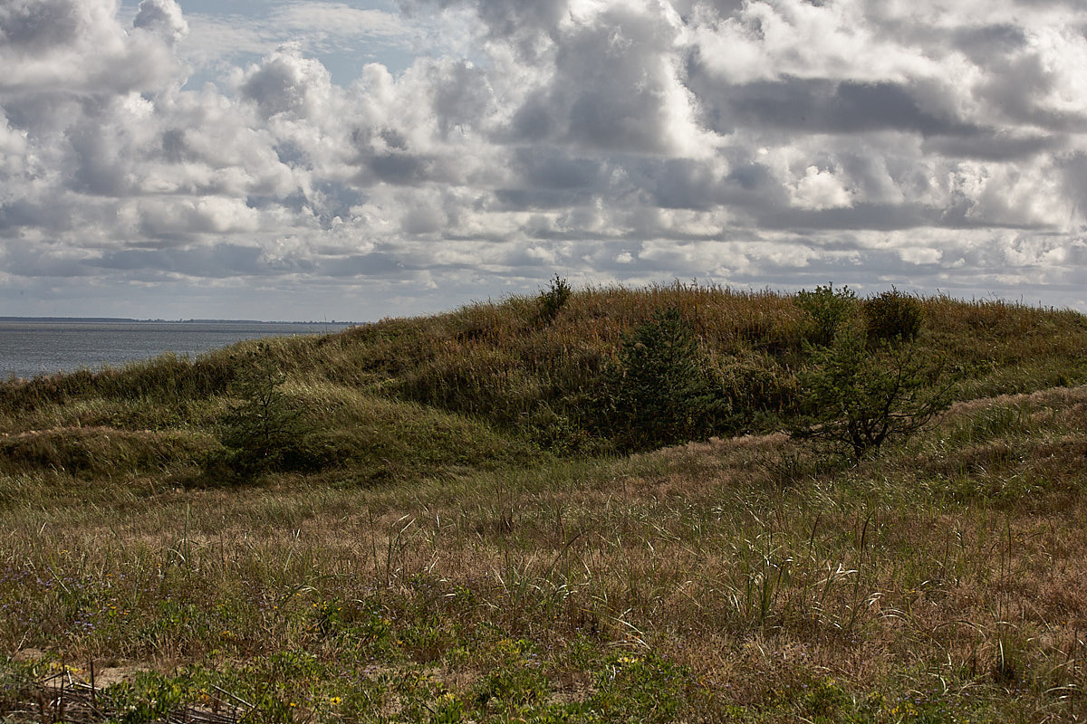 Куршская коса. Экскурсии по Калининграду