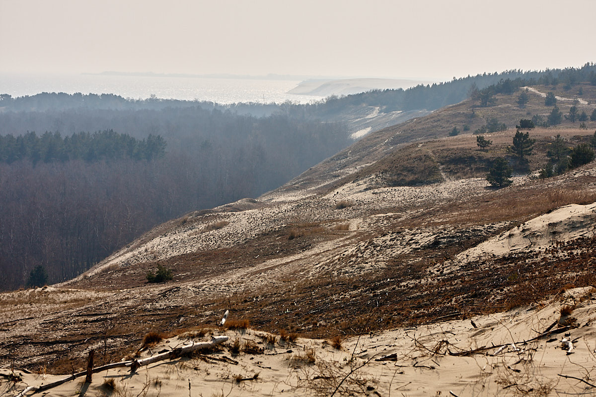 Куршская коса. Экскурсии по Калининграду