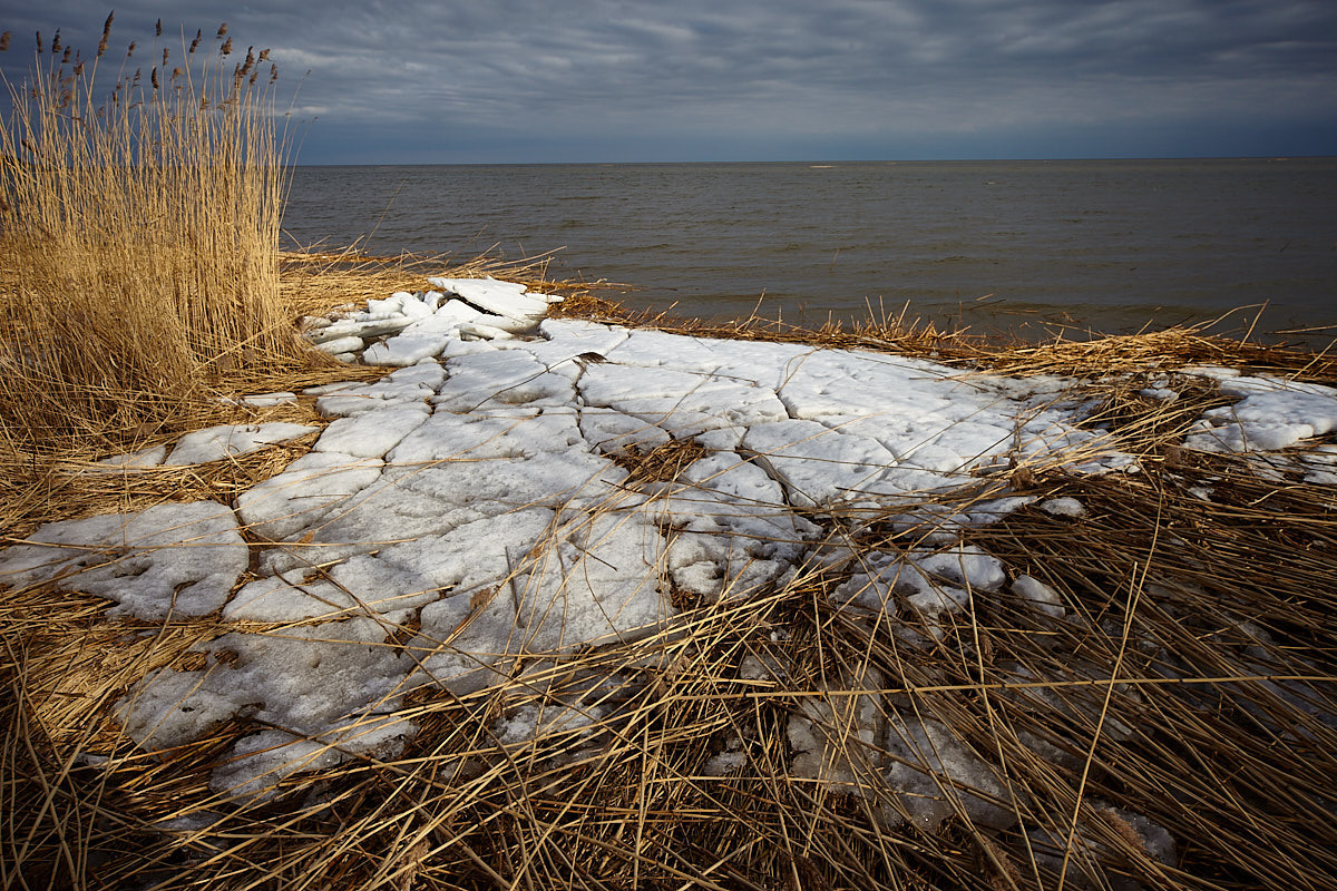 Куршская коса. Экскурсии по Калининграду