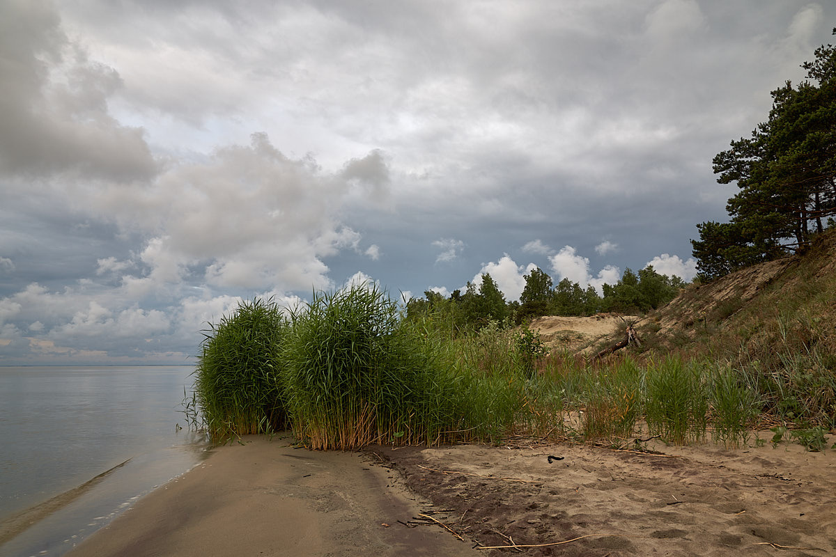 Куршская коса. Экскурсии по Калининграду