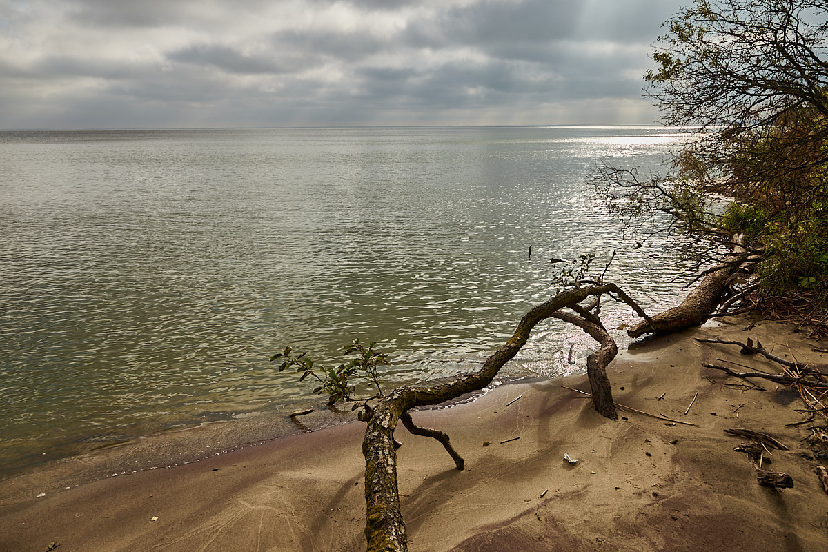 Куршская коса. Экскурсии по Калининграду