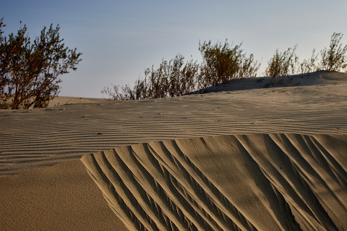 Куршская коса. Экскурсии по Калининграду