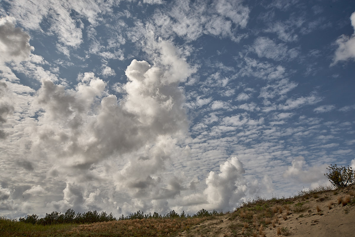 Куршская коса. Экскурсии по Калининграду