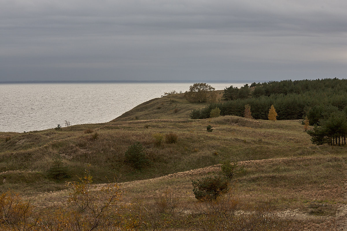 Куршская коса. Экскурсии по Калининграду
