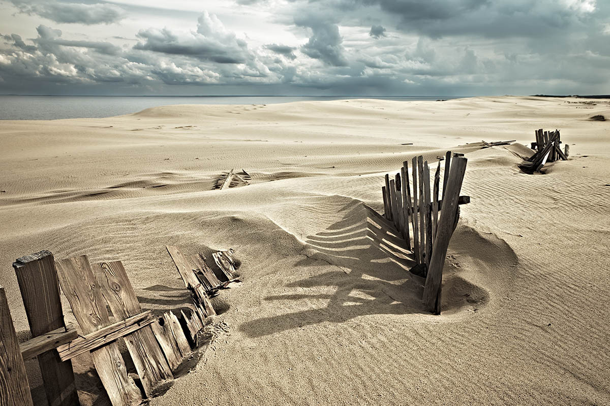 Куршская коса. Экскурсии по Калининграду