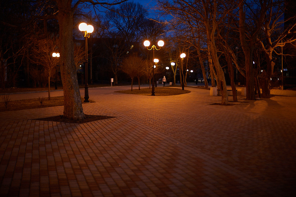 Зеленоградск. Экскурсии по Калининграду