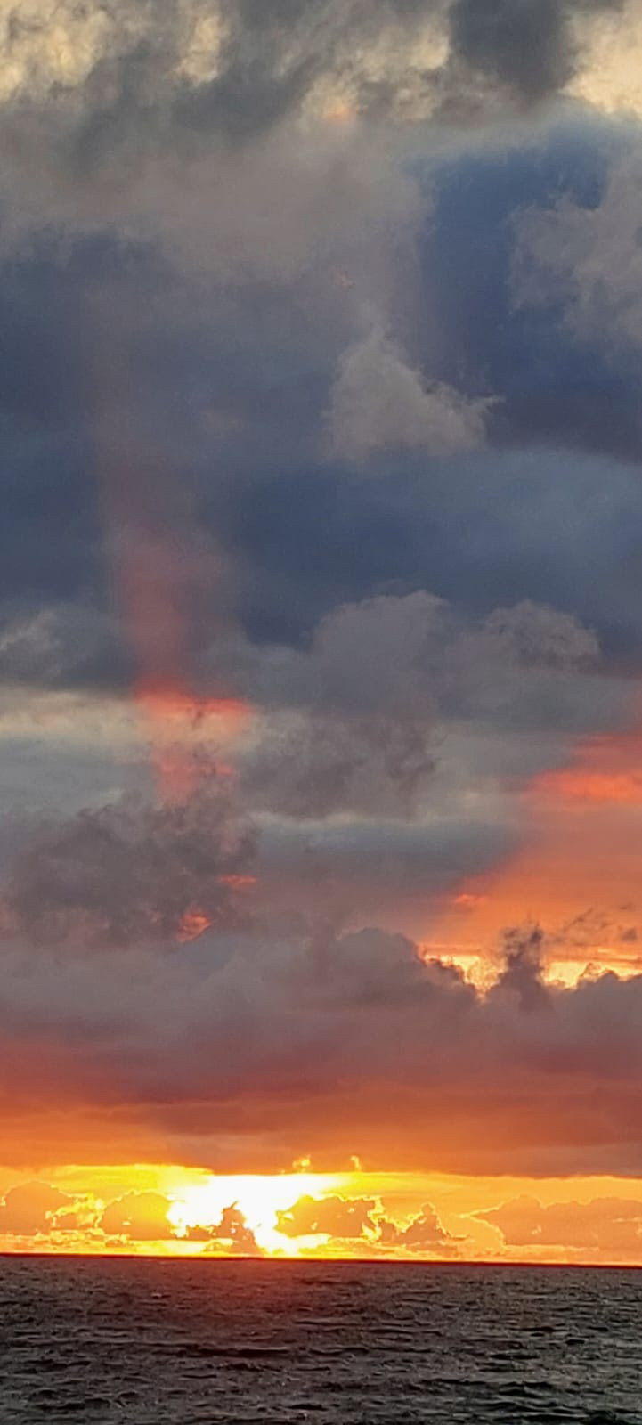 Природа края. Экскурсии по Калининграду