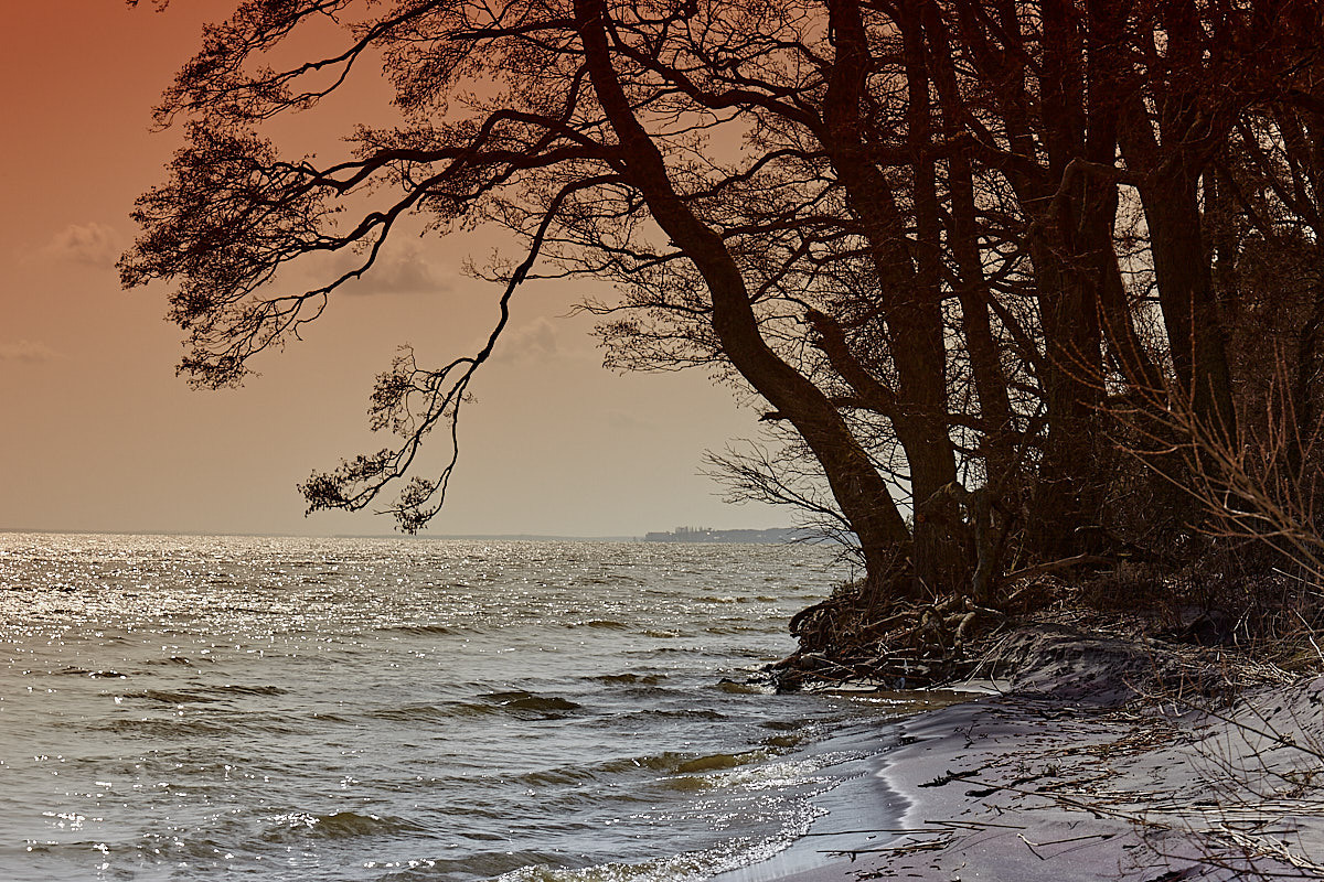 Куршская коса. Экскурсии по Калининграду