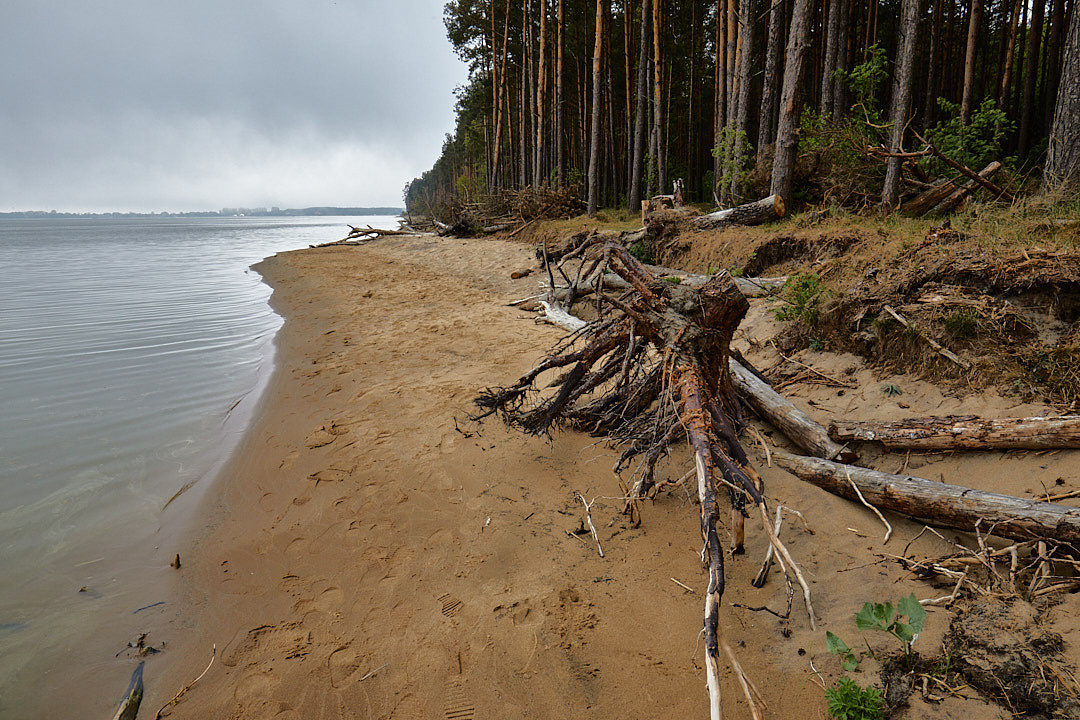 Куршская коса. Экскурсии по Калининграду
