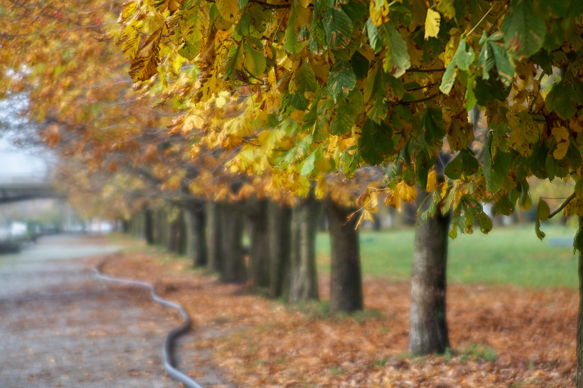 Калининград. Экскурсии по Калининграду