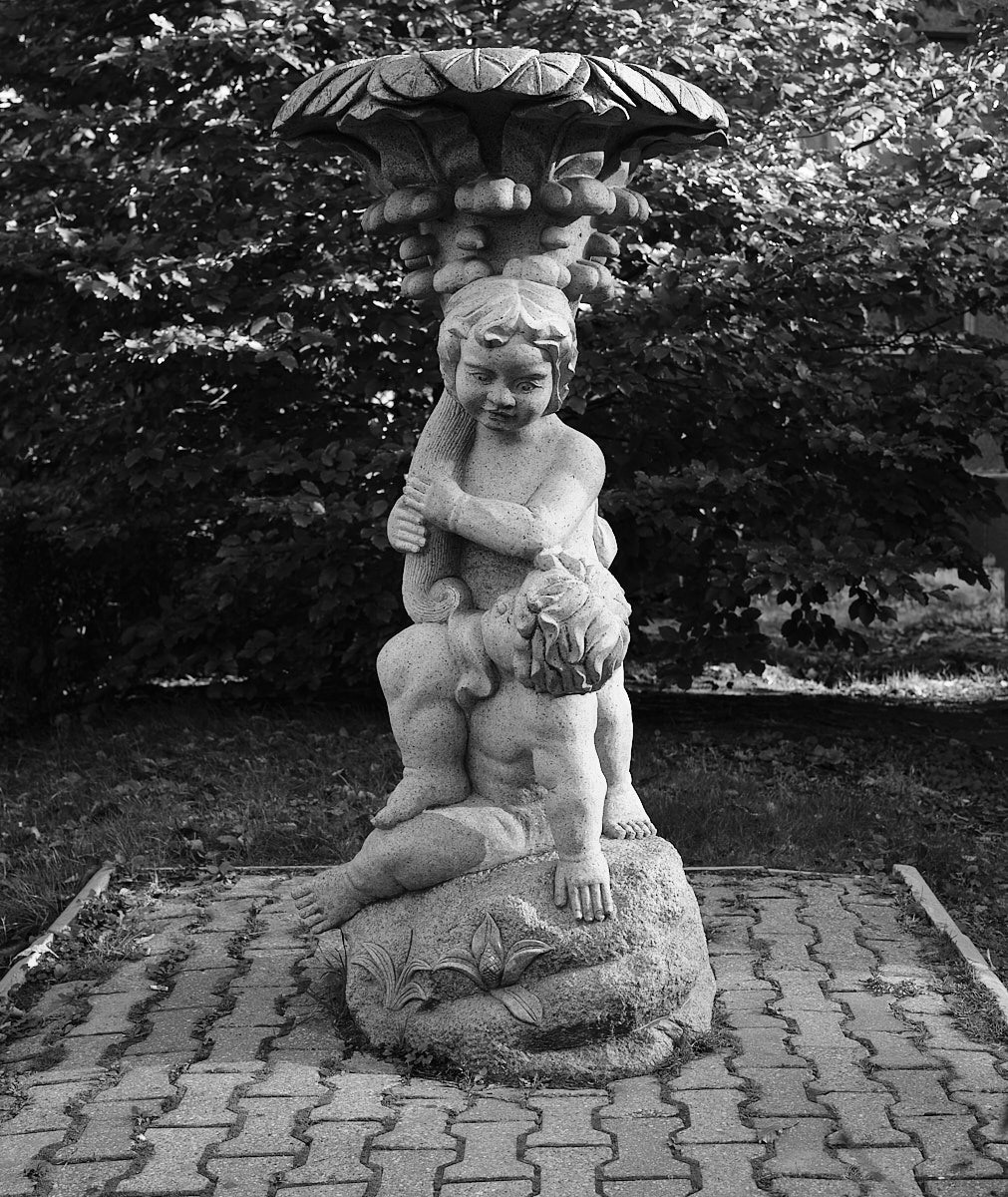 Светлогорск. Экскурсии по Калининграду