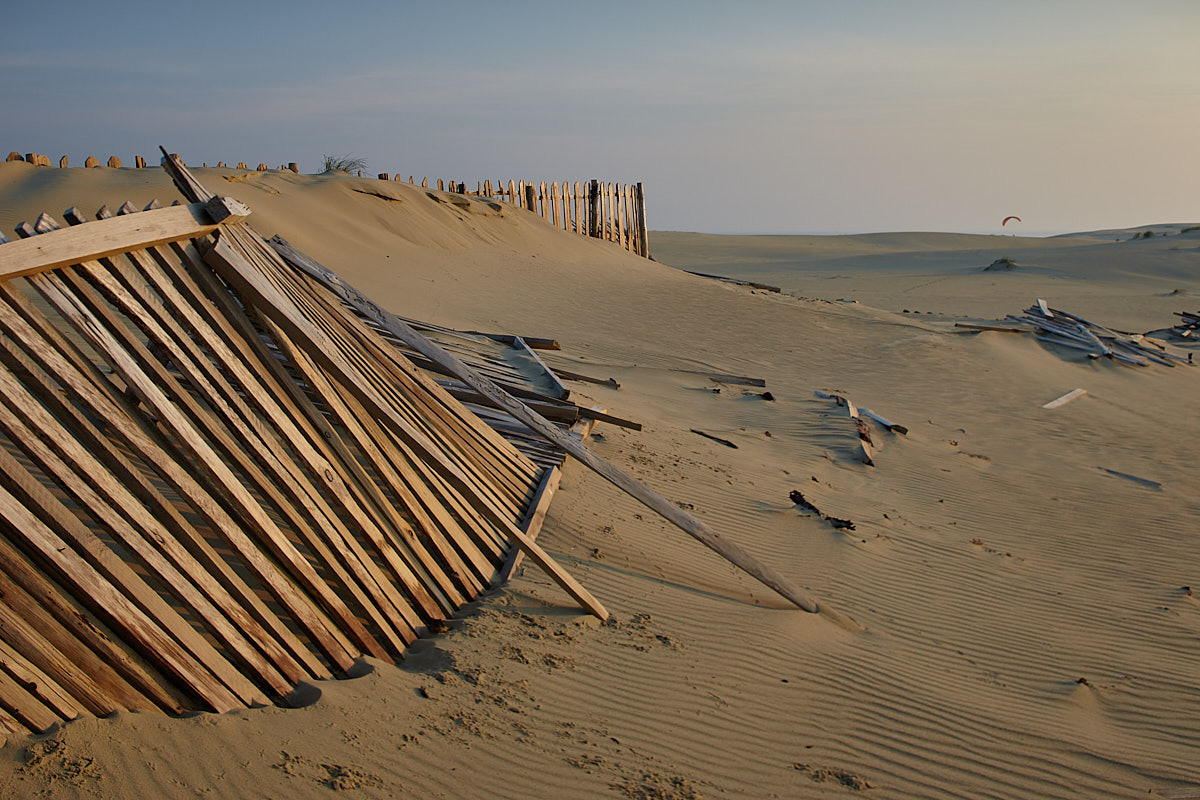 Куршская коса. Экскурсии по Калининграду