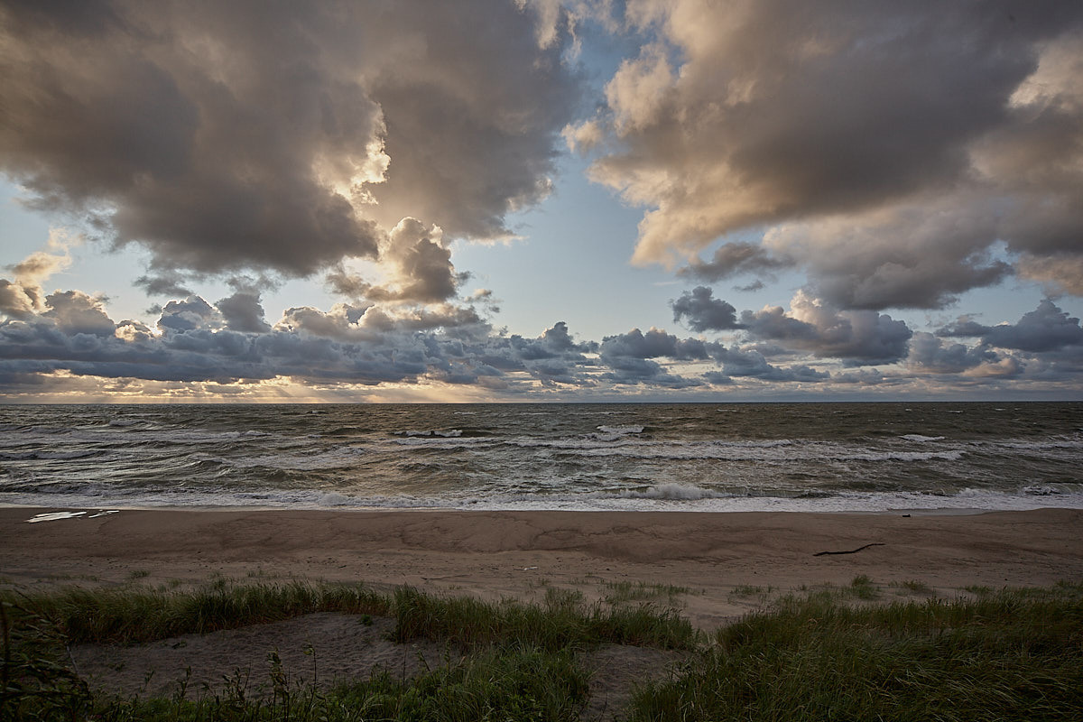 Куршская коса. Экскурсии по Калининграду