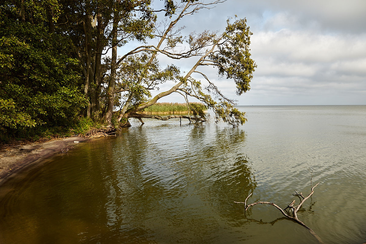 Куршская коса. Экскурсии по Калининграду