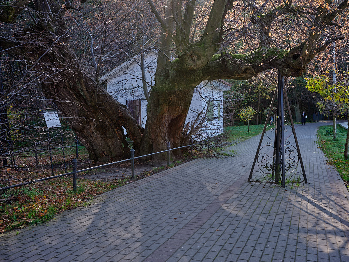 Светлогорск. Экскурсии по Калининграду