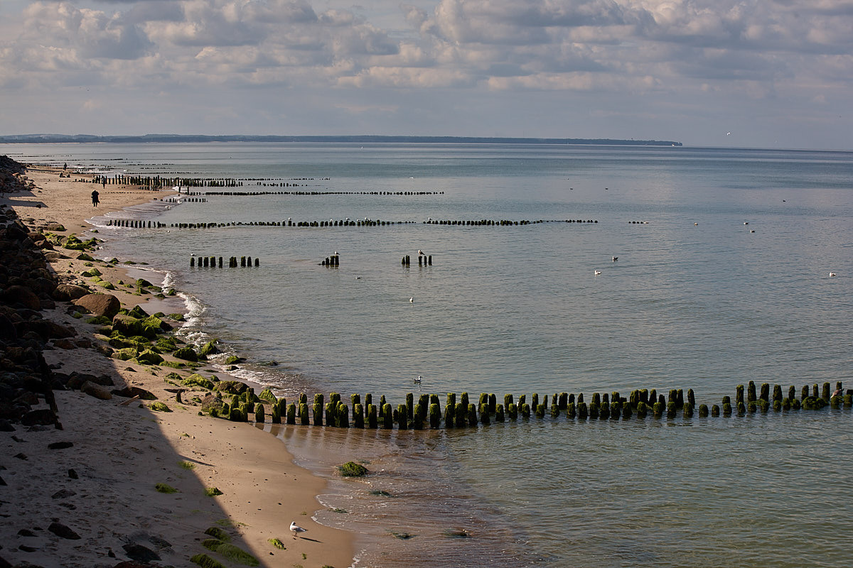 Зеленоградск. Экскурсии по Калининграду