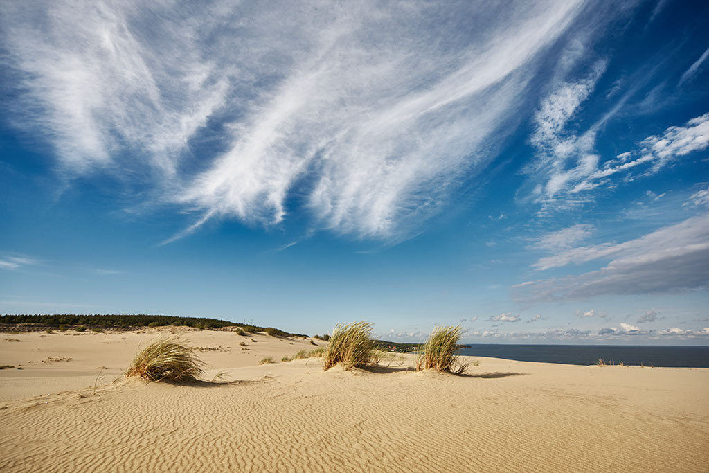 Куршская коса. Экскурсии по Калининграду