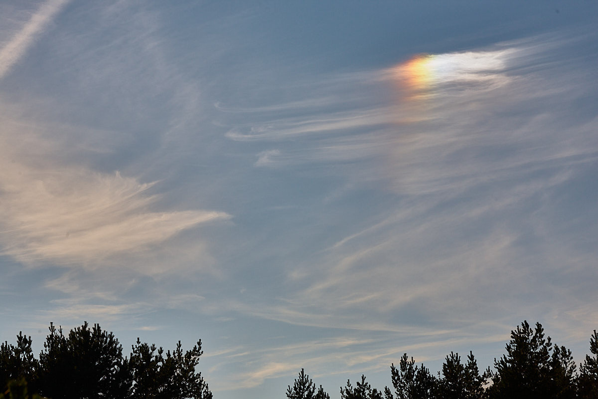 Куршская коса. Экскурсии по Калининграду