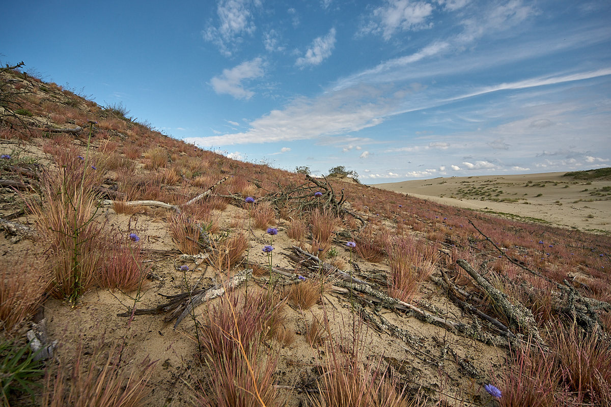 Куршская коса. Экскурсии по Калининграду