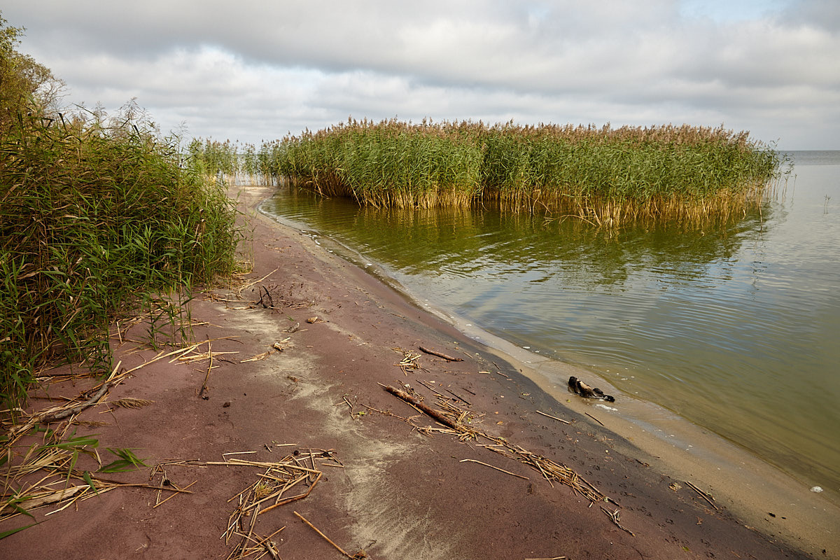 Куршская коса. Экскурсии по Калининграду