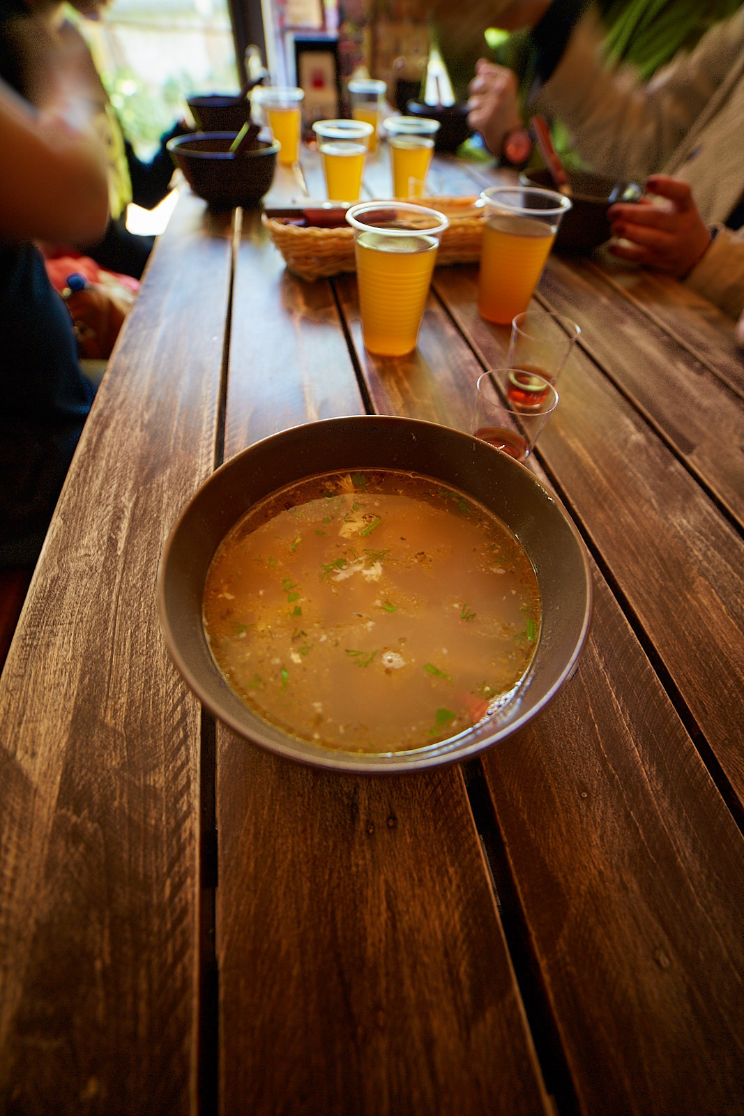 Куршская коса. Экскурсии по Калининграду