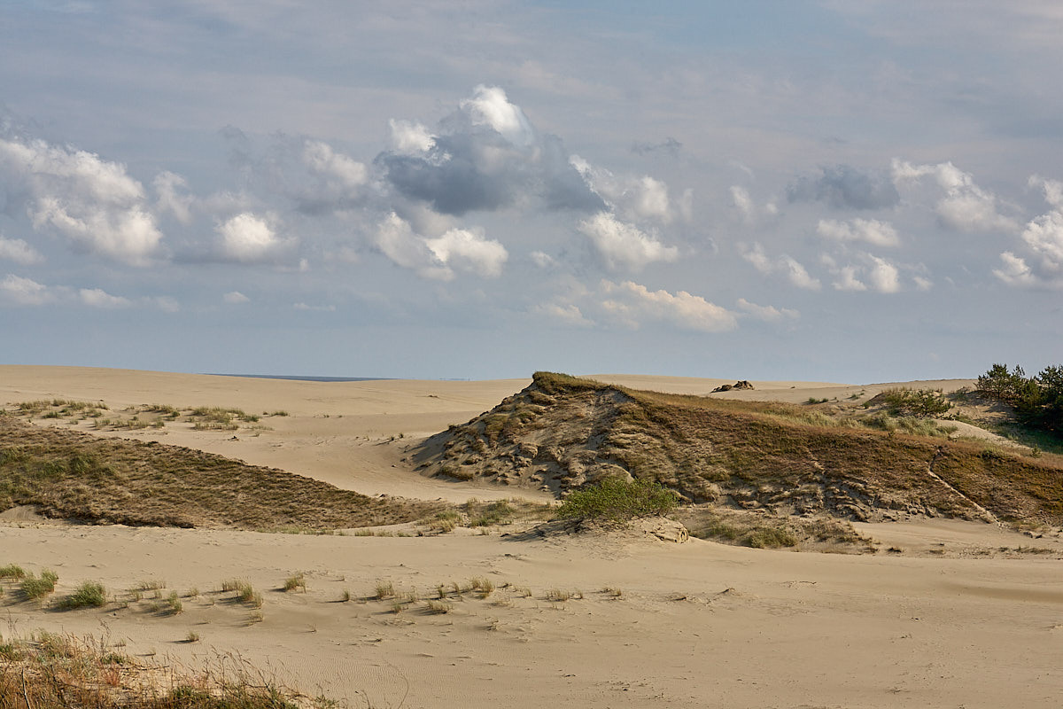 Куршская коса. Экскурсии по Калининграду