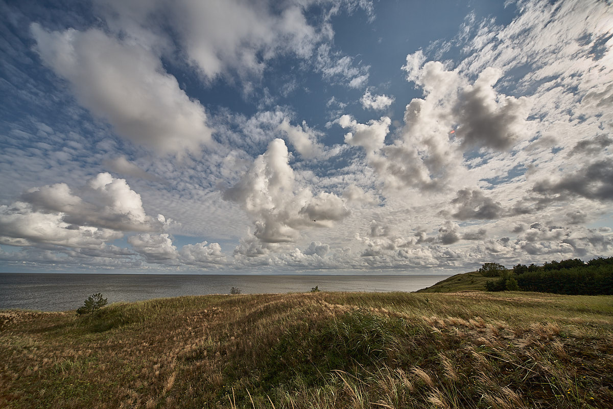 Куршская коса. Экскурсии по Калининграду