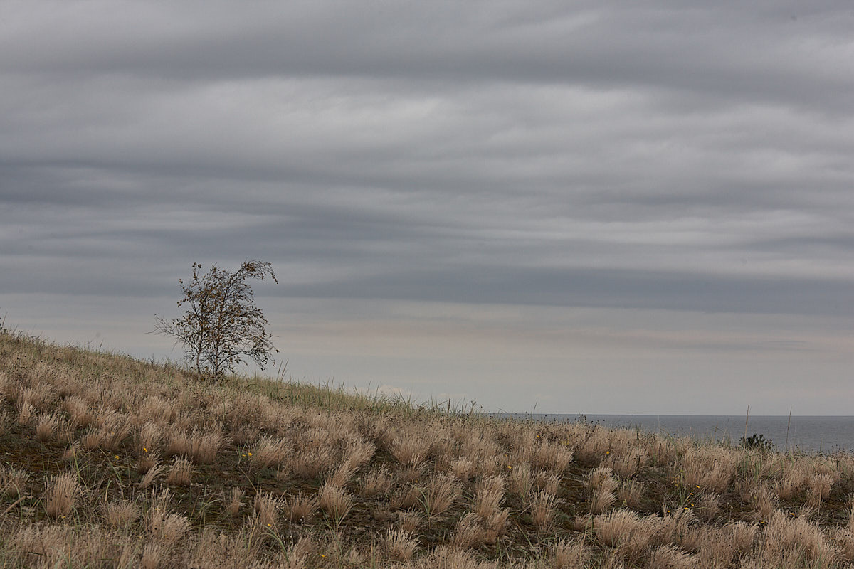 Куршская коса. Экскурсии по Калининграду