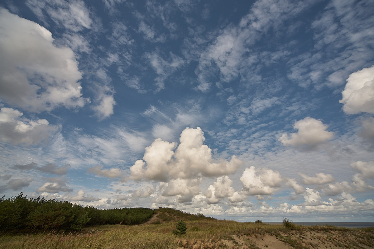 Куршская коса. Экскурсии по Калининграду