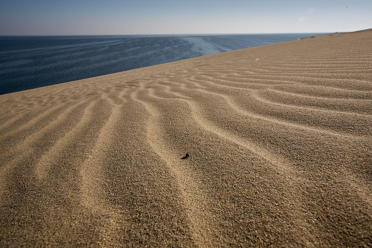 Куршская коса. Экскурсии по Калининграду
