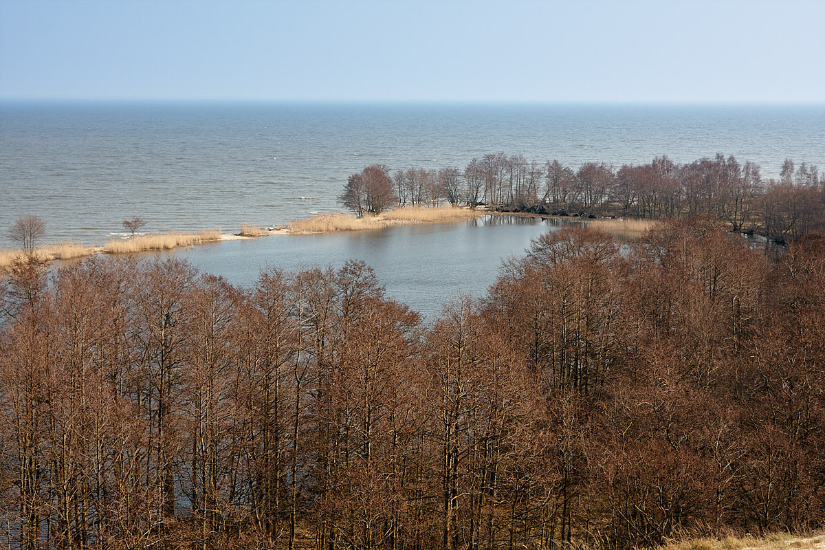 Куршская коса. Экскурсии по Калининграду