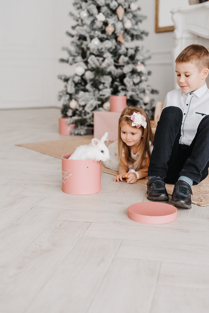 Christmas time. Family photographer in Israel | Alesya Superfin