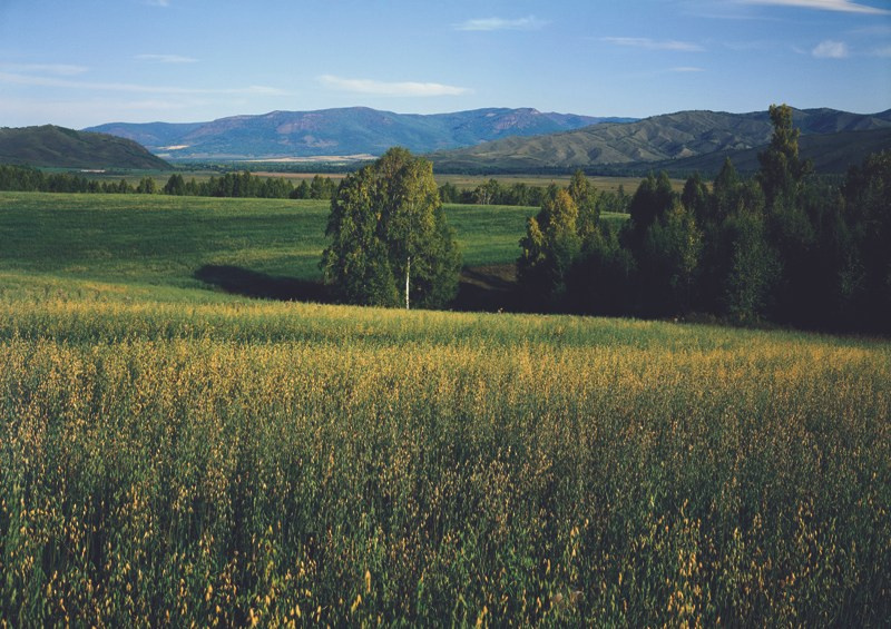 Лето. ВАДИМ ГИППЕНРЕЙТЕР — ВЕЛИКИЙ ФОТОГРАФ ЗЕМЛИ РУССКОЙ