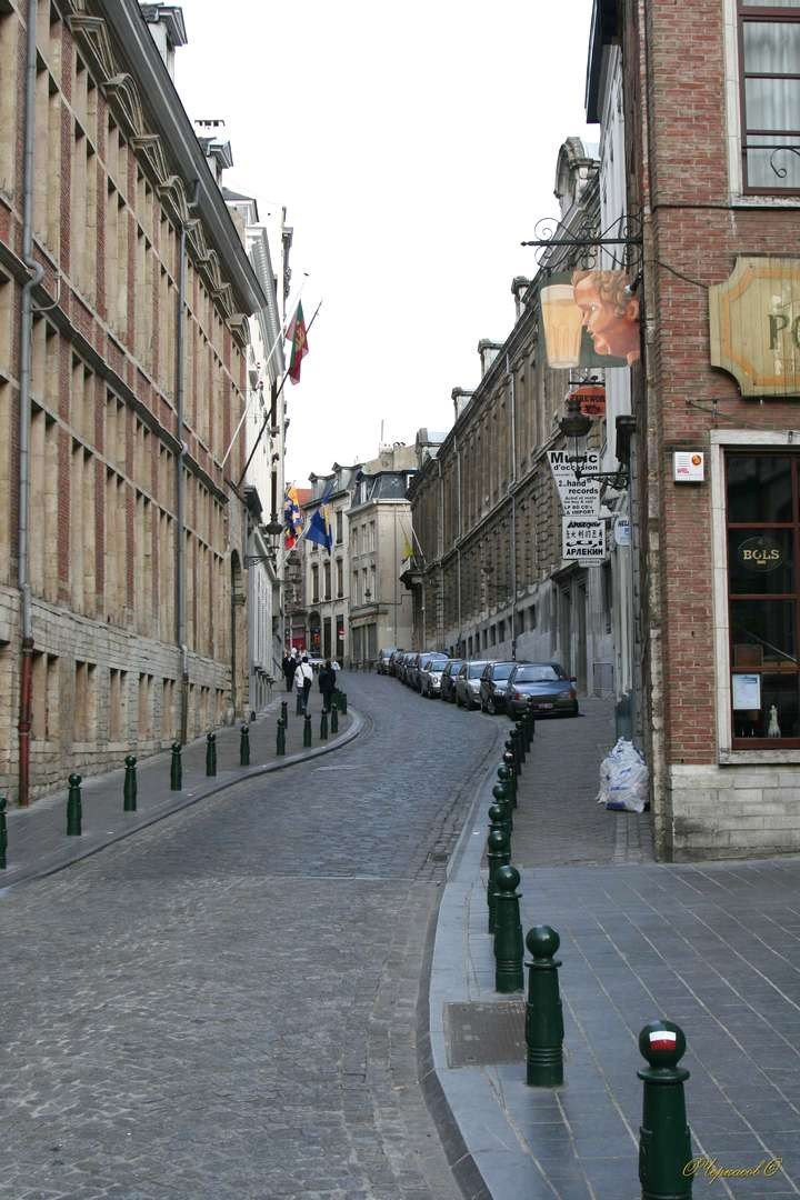 Бельгия 2009 г. Улица, люди, жизнь…