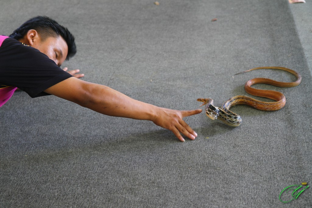 Тайланд. Пхукет 2013. Улица, люди, жизнь…