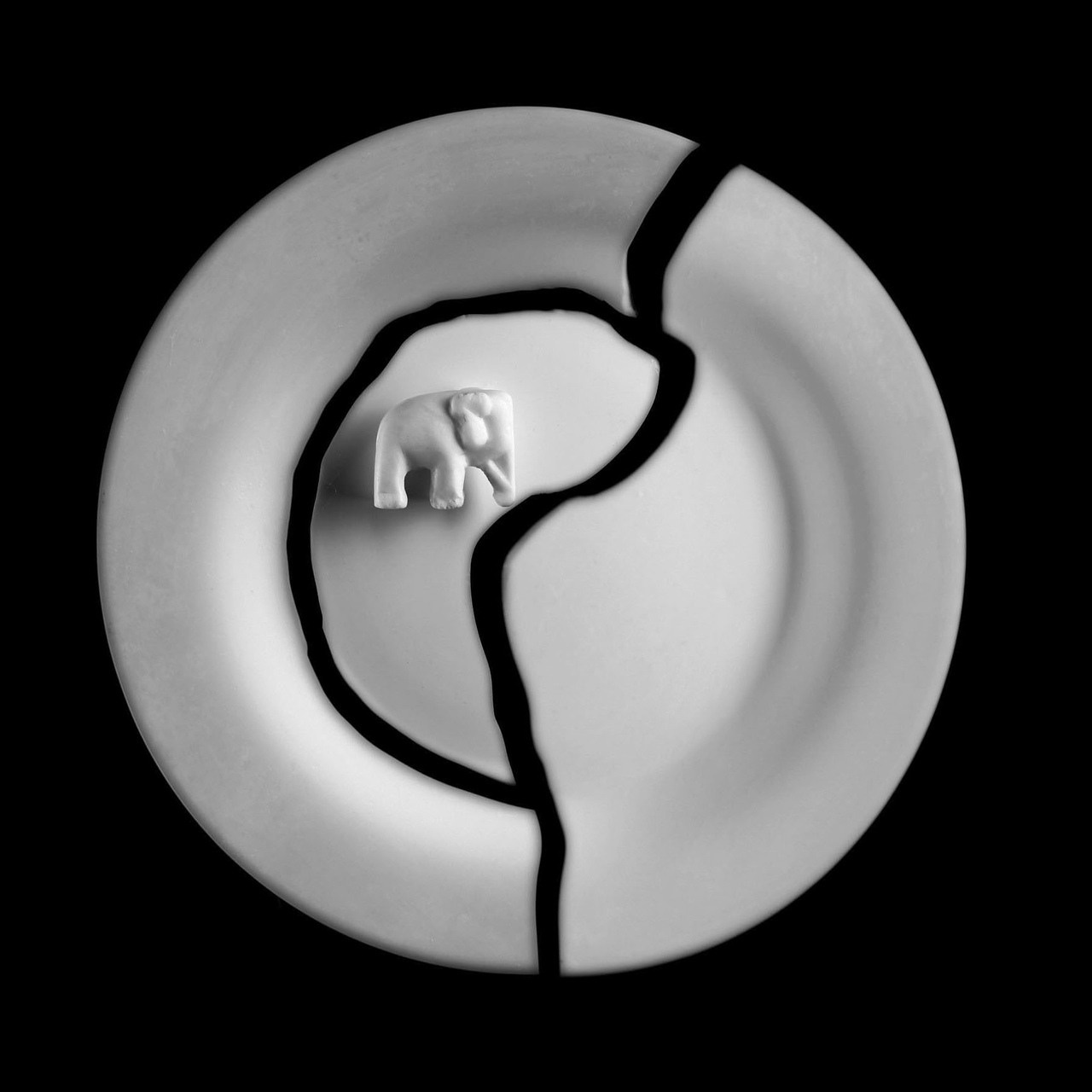 Концептуальная съемка. Предметный и контентный фотограф в Москве Курочкина Оксана